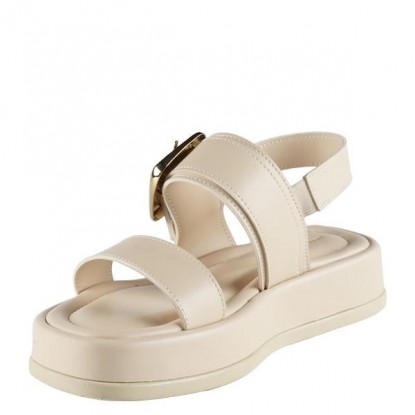 Renato Beige